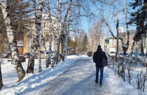 Солнечную погоду без осадков и потепление прогнозируют синоптики Солнечную погоду без осадков и потепление прогнозируют синоптики
