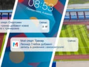 Республика Алтай вошла в тройку лидеров по уровню цифровизации спорта