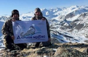 Нового снежного барса заметили в Сайлюгеме