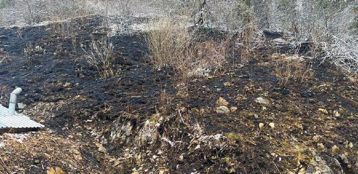 Два лесных пожара потушили на Алтае