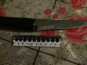 Сельчанин, напавший с ножом на полицейских, пойдет под суд