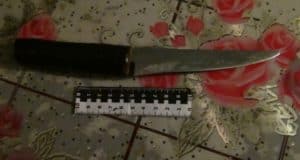 Сельчанин, напавший с ножом на полицейских, пойдет под суд Сельчанин, напавший с ножом на полицейских, пойдет под суд