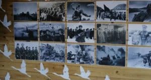 «Диктант Победы» в Республике Алтай стал рекордным по числу участников
