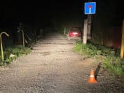 Мотоциклист врезался в собаку на дороге, госпитализирована женщина-пассажир Мотоциклист врезался в собаку на дороге, госпитализирована женщина-пассажир