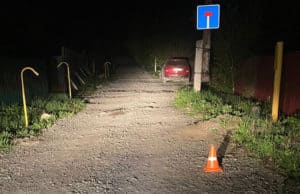 Мотоциклист врезался в собаку на дороге, госпитализирована женщина-пассажир Мотоциклист врезался в собаку на дороге, госпитализирована женщина-пассажир