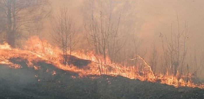 В Республике Алтай объявлено штормовое предупреждение из-за высокой пожароопасности