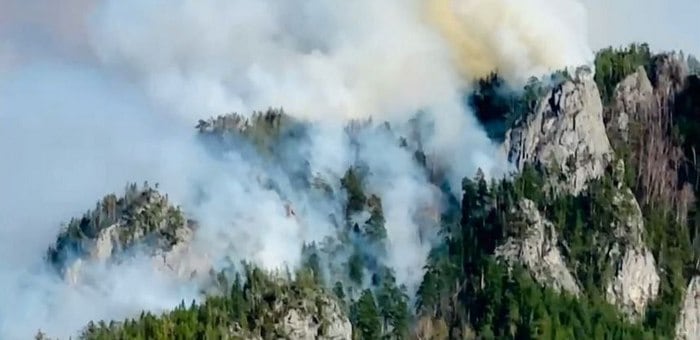 Два лесных пожара тушат в Республике Алтай