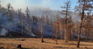 Вместе с теплом пришли пожары