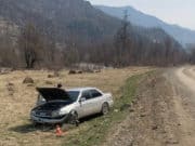 За полгода на Алтае произошло 118 ДТП: погибли 14 человек