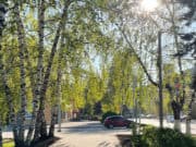 Прогноз погоды: будет тепло Прогноз погоды: будет тепло