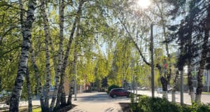 Прогноз погоды: будет тепло Прогноз погоды: будет тепло