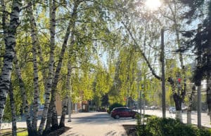 Прогноз погоды: будет тепло