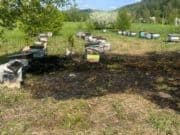 В Соузге пасечник устроил травяной пожар В Соузге пасечник устроил травяной пожар