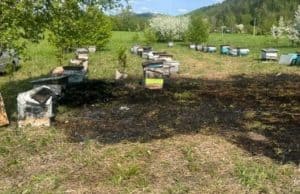 В Соузге пасечник устроил травяной пожар