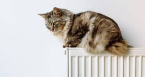 В Горно-Алтайске завершается отопительный сезон