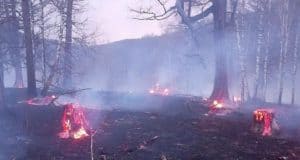 Природный пожар произошел недалеко от Верх-Черги