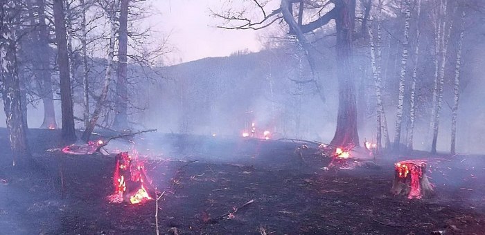 Природный пожар произошел недалеко от Верх-Черги