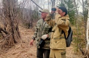 Алтай и Казахстан изучают миграцию копытных в трансграничной зоне