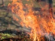 На Алтае завершен пожароопасный сезон