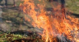 На Алтае завершен пожароопасный сезон