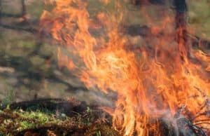 На Алтае завершен пожароопасный сезон