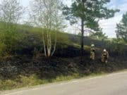 Травяной пожар вспыхнул вдоль трассы в Республике Алтай Травяной пожар вспыхнул вдоль трассы в Республике Алтай