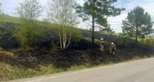 Травяной пожар вспыхнул вдоль трассы в Республике Алтай