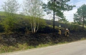 Травяной пожар вспыхнул вдоль трассы в Республике Алтай
