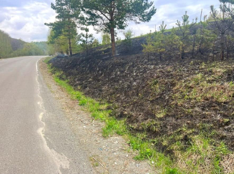 Травяной пожар вспыхнул вдоль трассы в Республике Алтай