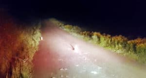 Два человека попали в больницу в результате ДТП возле Улус-Черги