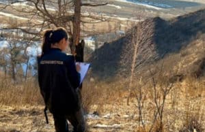 Житель Новосибирской области тяжело ранен в голову на охоте в Шебалинском районе