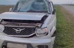 Женщина-водитель не справилась с обгоном, 6-летний мальчик госпитализирован