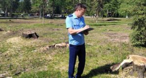 Прокуратура проверила законность рубки деревьев в центральном сквере