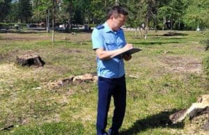 Прокуратура проверила законность рубки деревьев в центральном сквере