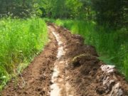 В лесничествах Алтая создали более 16 км минерализованных полос В лесничествах Алтая создали более 16 км минерализованных полос