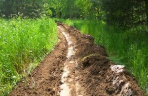В лесничествах Алтая создали более 16 км минерализованных полос В лесничествах Алтая создали более 16 км минерализованных полос
