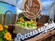 День поля-2023: стратегический партнер Россельхозбанк представит актуальные предложения и проекты