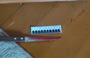 В Элекмонаре женщина убила своего сожителя во время пьянки