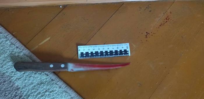 В Элекмонаре женщина убила своего сожителя во время пьянки