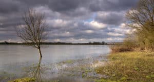 Уровень воды в Бие у села Кебезень превысил критическую отметку
