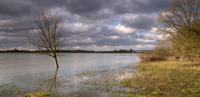 Уровень воды в Бие у села Кебезень превысил критическую отметку