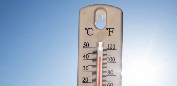 На Алтае ожидается аномальная жара