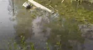 Зловонным «озером» в Майме заинтересовалась прокуратура