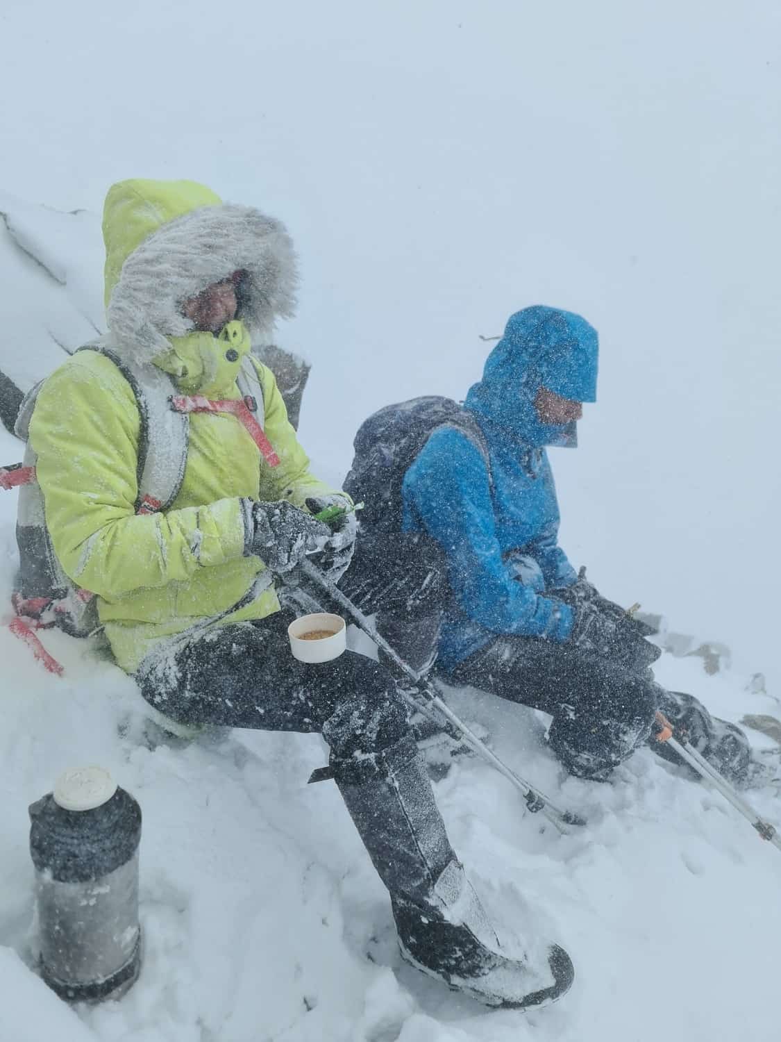 Снежные барсы покинули алтайскую сторону хребта Чихачева из-за суровой зимы 