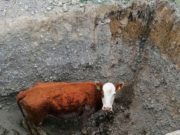 Водопад Корбу стал мощнее из-за паводка Водопад Корбу стал мощнее из-за паводка