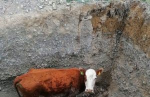 Водопад Корбу стал мощнее из-за паводка