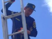 В Кош-Агаче пожарные спасли кота, который больше двух суток просидел на высоком столбе В Кош-Агаче пожарные спасли кота, который больше двух суток просидел на высоком столбе