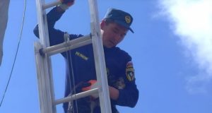 В Кош-Агаче пожарные спасли кота, который больше двух суток просидел на высоком столбе