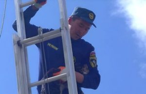 В Кош-Агаче пожарные спасли кота, который больше двух суток просидел на высоком столбе В Кош-Агаче пожарные спасли кота, который больше двух суток просидел на высоком столбе