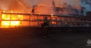В эко-парке «Сад пионов» произошел крупный пожар